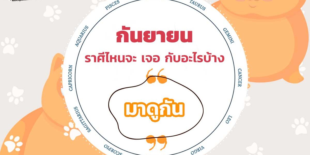 หน้าปกพื้นผ้า