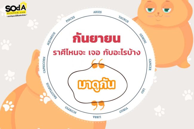 หน้าปกพื้นผ้า